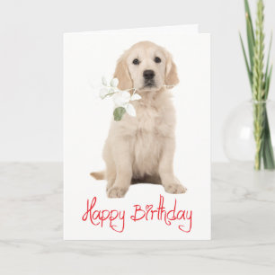 Carte Joyeux Anniversaire Chien Chiot Fleur Retriever D