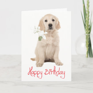 Carte  Joyeux Anniversaire Chien Chiot Fleur Retriever D