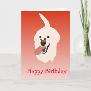Carte Joyeux Anniversaire Chien Labrador Retriever Doré 