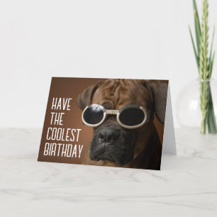 Carte Joyeux Anniversaire Chien Lunettes de Soleil Coo