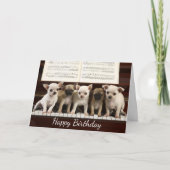 Carte Joyeux Anniversaire Chihuahua Chiot ( Chewawa ) (Devant)