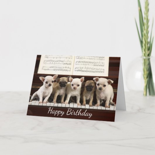 Carte Joyeux Anniversaire Chihuahua Chiot ( Chewawa ) (Devant)