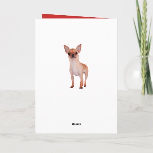 Carte Joyeux anniversaire Chihuahua Chiot Chiot Chiots C (Dos)