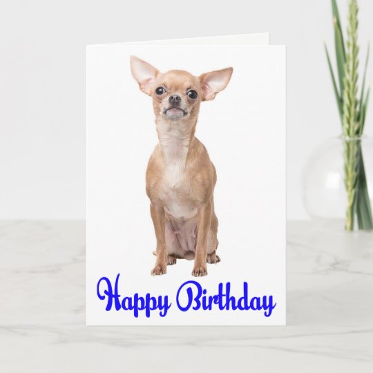Carte Joyeux Anniversaire Chihuahua Chiuppy Blue Verse Zazzle Be