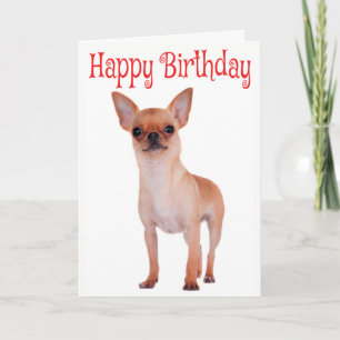 Carte Joyeux anniversaire Chihuahua Chiuppy Red Verse