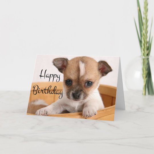 Carte Joyeux Anniversaire Chihuahua Puppy Dog Verse Zazzle Be