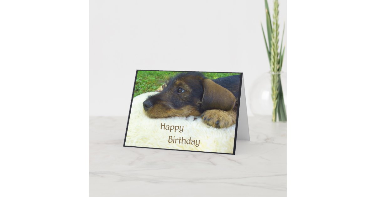 Carte Joyeux anniversaire  chiot  mignon de teckel Zazzle be