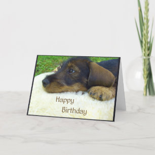 Carte Joyeux anniversaire, chiot mignon de teckel