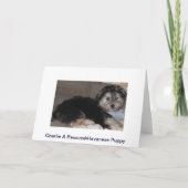 Carte Joyeux Anniversaire Chiot Secouru Havanais (Dos)