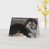 Carte Joyeux Anniversaire Chiot Secouru Havanais (Fleur jaune)