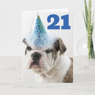 Carte Joyeux Anniversaire   Chiots Bouledogue Anglais