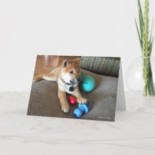 Carte Joyeux Anniversaire Chiots Shiba Inu Jouets Coloré