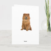 Carte Joyeux Anniversaire Chow Chow Chien Chien Chien Ch (Dos)