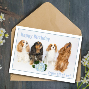 Carte Joyeux Anniversaire Co-Travailleur Cavalier King C