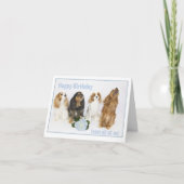 Carte Joyeux Anniversaire Co-Travailleur Cavalier King C (Devant)