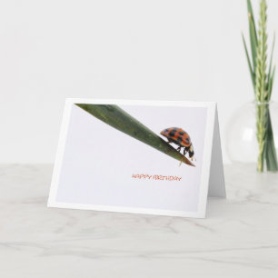 Carte Joyeux Anniversaire Coccinelle