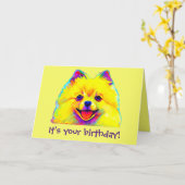 Carte Joyeux anniversaire coloré Pomeranian (Fleur jaune)