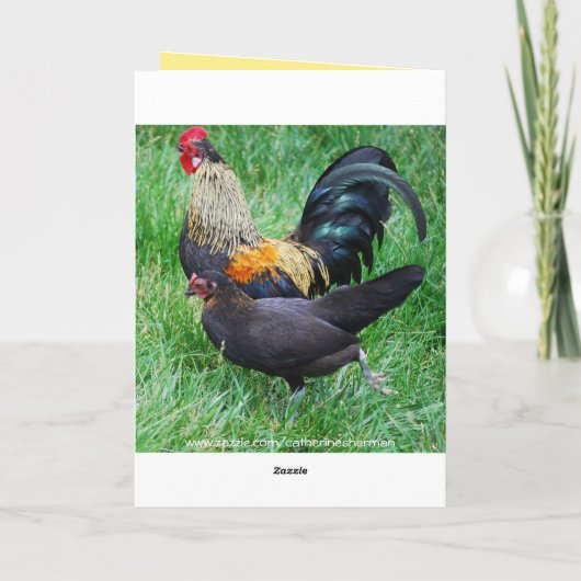 Carte Joyeux Anniversaire Coq et Poule Plumes Rouges (Dos)