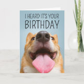 Carte Joyeux anniversaire | Corgi Smile (Devant)