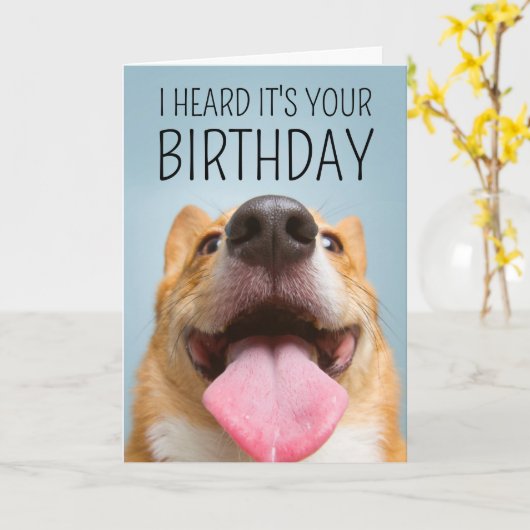 Carte Joyeux anniversaire | Corgi Smile (Fleur jaune)