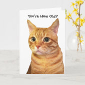 Carte Joyeux anniversaire dans les années de chats (Fleur jaune)