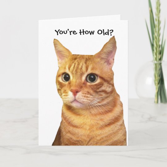 Carte Joyeux Anniversaire Dans Les Annees De Chats Zazzle Be