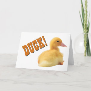 Carte Joyeux anniversaire de Canard
