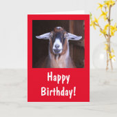 Carte Joyeux anniversaire de chèvre (Fleur jaune)