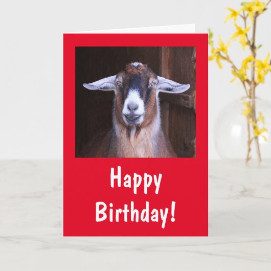 Carte Joyeux anniversaire de chèvre (Fleur jaune)