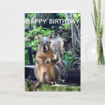 Carte Joyeux anniversaire de Deez Nuts Funny Squirrel Ph<br><div class="desc">Joyeux anniversaire de DEEZ NUTS ! Un écureuil hilarant joue avec des mots qui plaisantent sur ses noix. Humour brut sur une carte d'anniversaire pour adulte. Faites rire vos amis avec cette citation pop culture.</div>