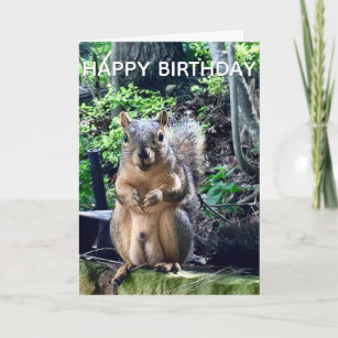 Carte Joyeux anniversaire de Deez Nuts Funny Squirrel Ph