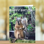 Carte Joyeux anniversaire de Deez Nuts Funny Squirrel Ph<br><div class="desc">Joyeux anniversaire de DEEZ NUTS ! Un écureuil hilarant joue avec des mots qui plaisantent sur ses noix. Humour brut sur une carte d'anniversaire pour adulte. Faites rire vos amis avec cette citation pop culture.</div>