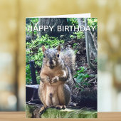 Carte Joyeux anniversaire de Deez Nuts Funny Squirrel Ph