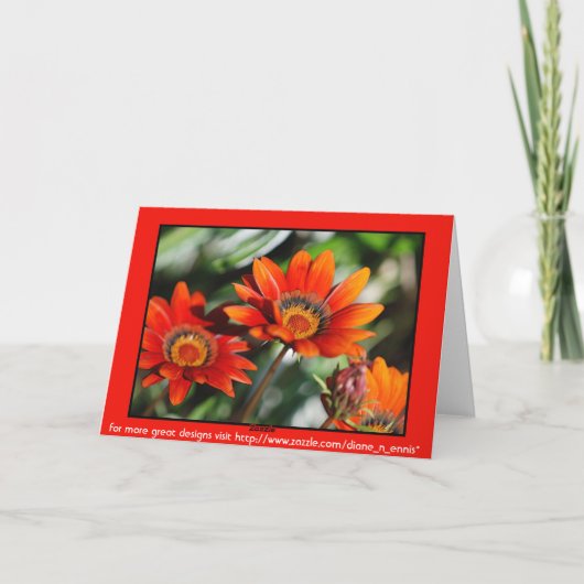 Carte Joyeux anniversaire de Gazania (Dos)