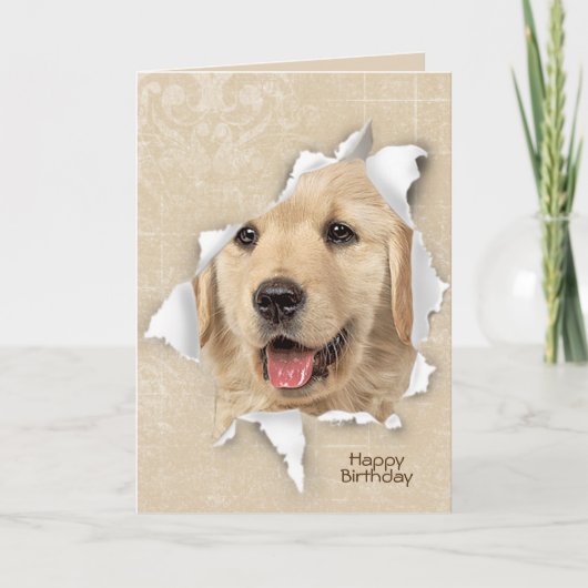 Carte Joyeux anniversaire de Golden Retriever (Devant)