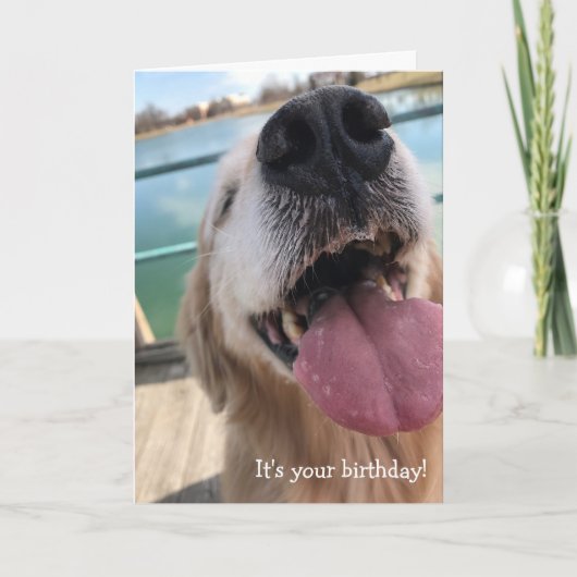 Carte Joyeux anniversaire de Golden Retriever (Devant)