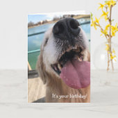 Carte Joyeux anniversaire de Golden Retriever (Fleur jaune)