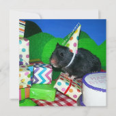 Carte Joyeux anniversaire de Hamster ! (Devant)