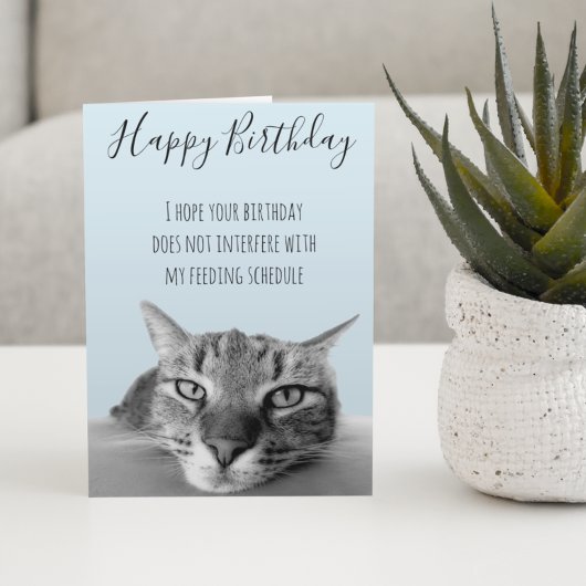 Carte Joyeux Anniversaire De La Part De Chat Humour Drôl
