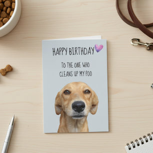 Carte Joyeux Anniversaire De La Part Du Chien Humour Drô