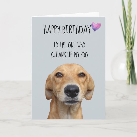 Carte Joyeux Anniversaire De Lhumour Drôle De Chien