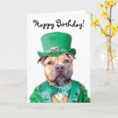 Carte Joyeux anniversaire de l'Irish Pitbull Puppy greet (Fleur jaune)