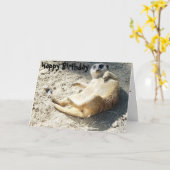 Carte Joyeux anniversaire de Merrkat (Fleur jaune)