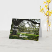 Carte Joyeux Anniversaire de Nephew-Old Tree dans le jar (Fleur jaune)