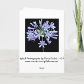 Carte Joyeux anniversaire de noir bleu d'Agapanthus (Dos)