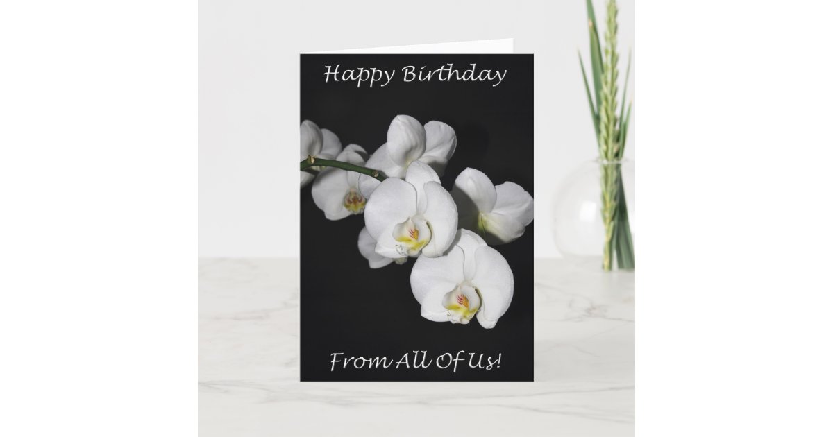 Carte Joyeux Anniversaire De Tous Les Nous Orchidee Zazzle Be