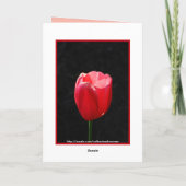Carte Joyeux anniversaire des Tulipes Rouges (Dos)