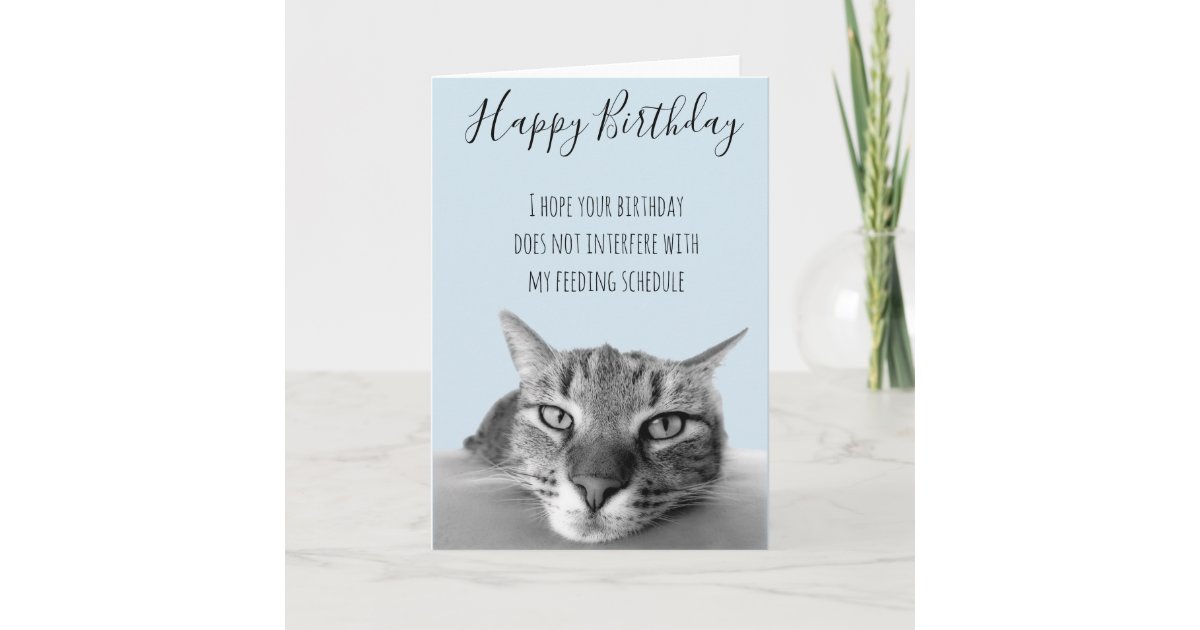 Carte Joyeux Anniversaire D Humour Drole De Chat Zazzle Be