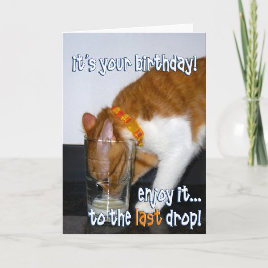 Carte Joyeux anniversaire - Drôle chat boire du verre (Devant)