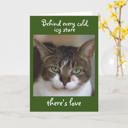 Carte Joyeux anniversaire du chat (Fleur jaune)